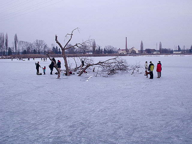 Zamrzlé Malvíny - leden 2004