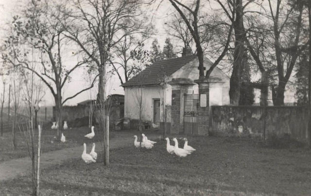 Hřbitov - 1946