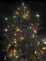 Rozsvícení vánočního stromu - 30.11.2008